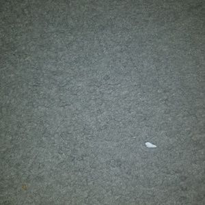 Meet your Posher, Carmen